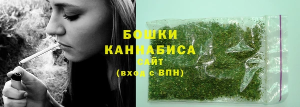 амф Бородино