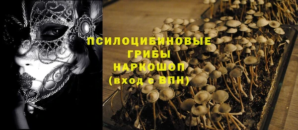 ГАЛЛЮЦИНОГЕННЫЕ ГРИБЫ Бронницы
