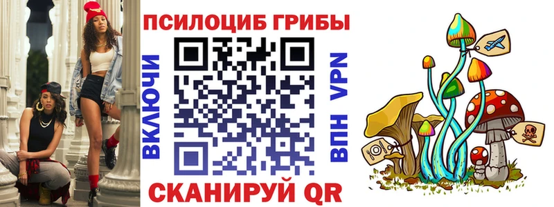 Псилоцибиновые грибы Psilocybine cubensis Купить закладки Изобильный